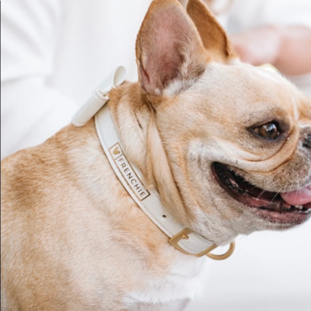 Vegan Leather White Luxe Dog Collar, Bow & Leash